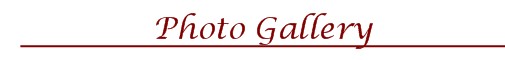 title_photo_gallery